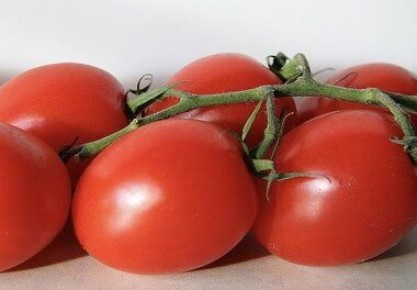 ����������� ������������ �������� ��� ������������: ������� �������� �������