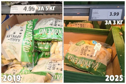 ���� �� �������� � �����������: ��� ���������� �� ��������� ����� ���?