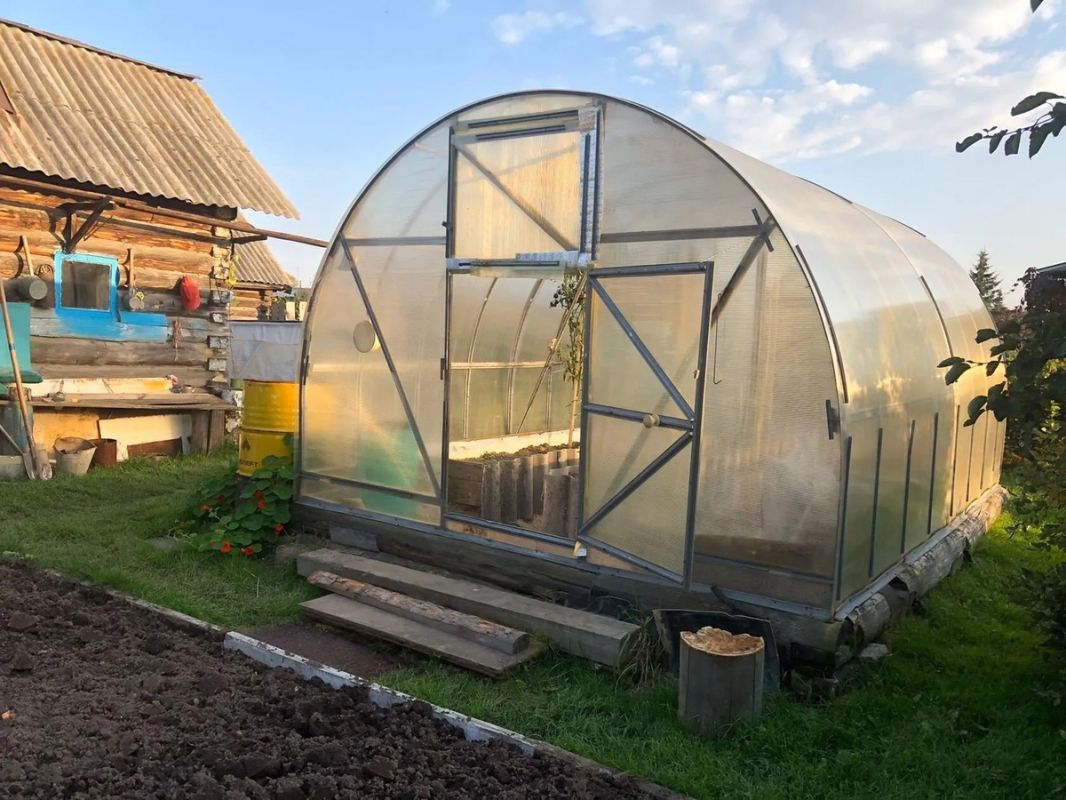 Как подготовить почву в теплице к новому сезону: эффективные методы борьбы с болезнями и вредителями