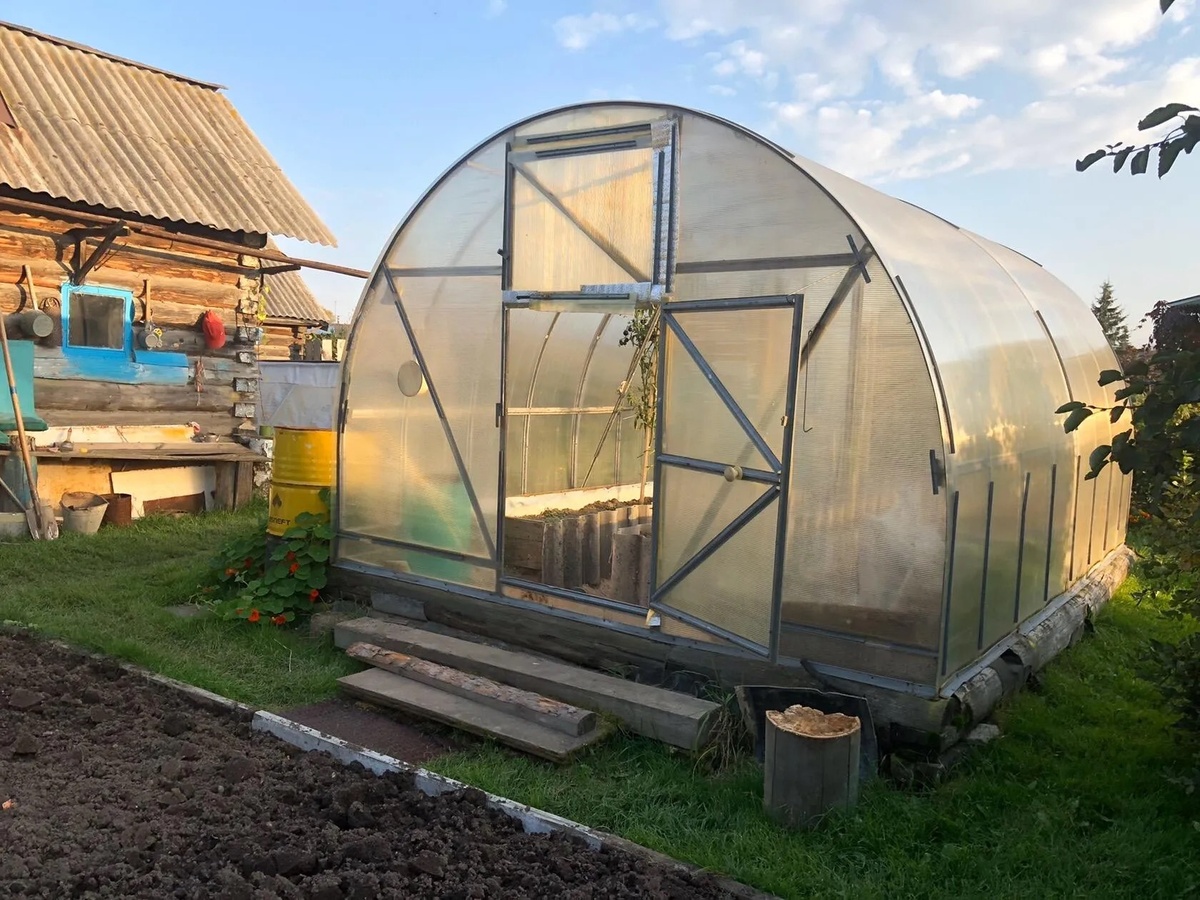 Как подготовить почву в теплице к новому сезону: эффективные методы борьбы с болезнями и вредителями