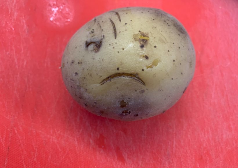 ��� �������� ������������� �������� � ������ ��� ������: ������� ������