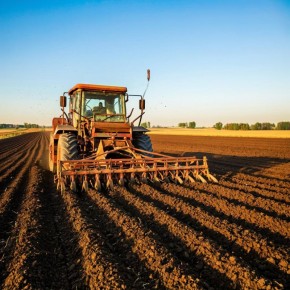 Культиваторы: преимущества и недочёты в обработке почвы