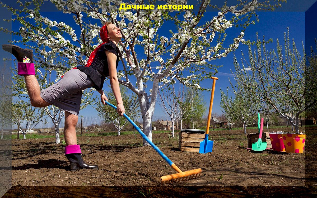 �������� ��� ����������� ���������: �������� ������ ��� ��������� �����������