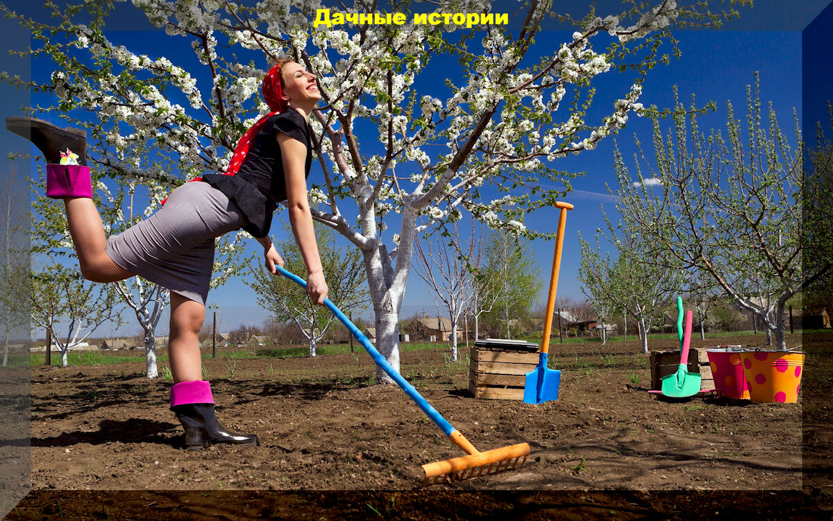 Лайфхаки для современных садоводов: полезные советы для успешного выращивания