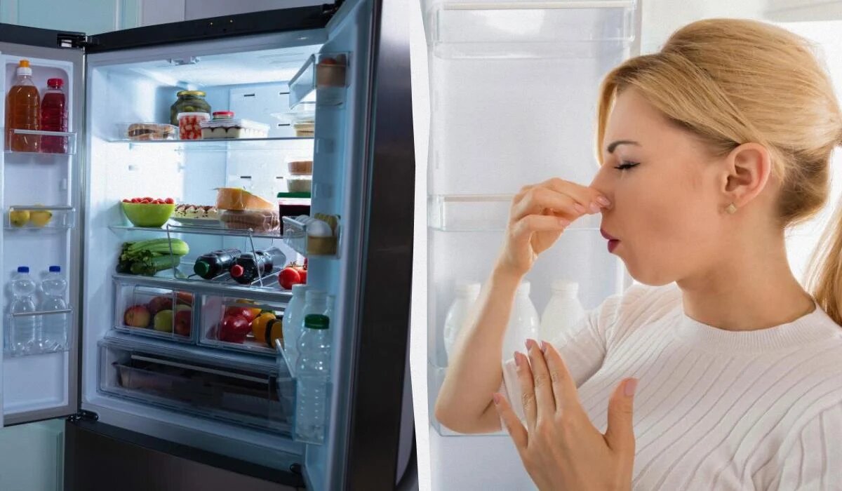 Эффективные решения для борьбы с запахами в холодильнике