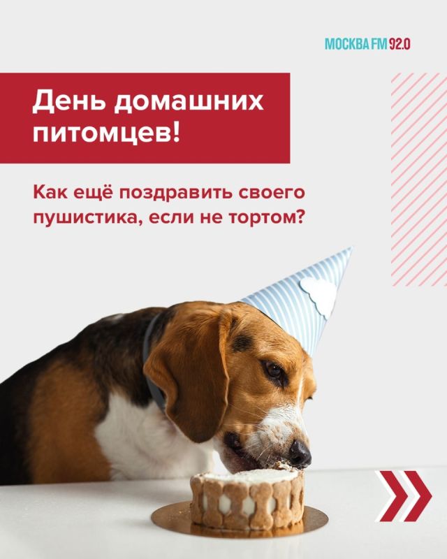 �������� ������ ������� ������������ ����� � �������� ������