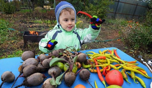 Овощи, которые укрепят здоровье этой осенью