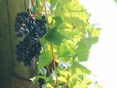 ������ ������ ������ � ����� � ����� �������� ����������