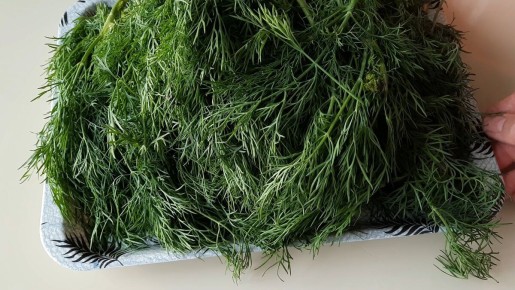 Как заготовить укроп на зиму: простые советы и секреты