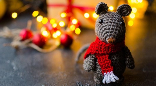 ��� �������� ����� � �������: ������ ���������