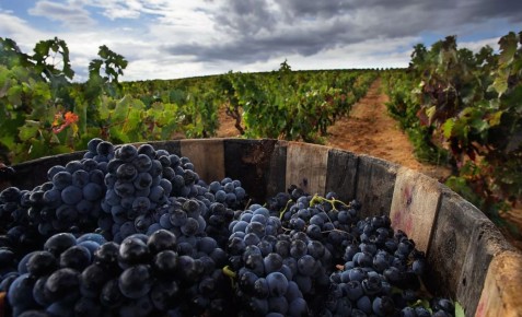 ��� ��������� �������� ������ ���������: ������ ��� ���������