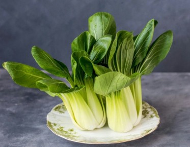 ������� ��� ������: ����������� ���������, ������� ����� �����������