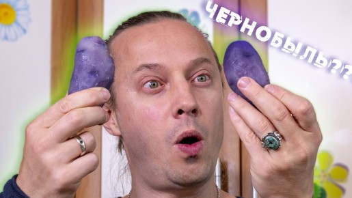 Фиолетовая картошка на ужин: простое и изысканное сочетание