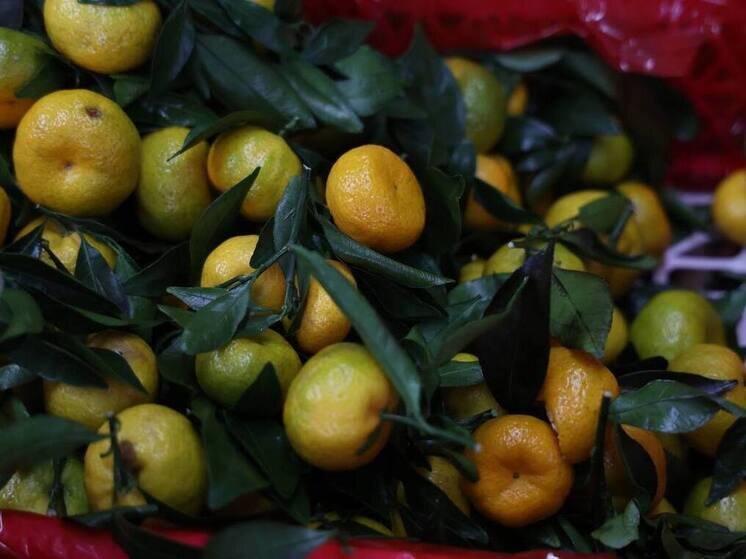 На границе с Казахстаном раскрыли хитроумную схему с мандаринами под маркой винограда