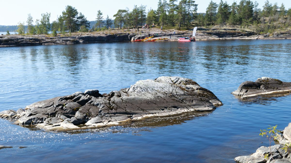 ����� ��������� ����: ������� � ���������������� �����������