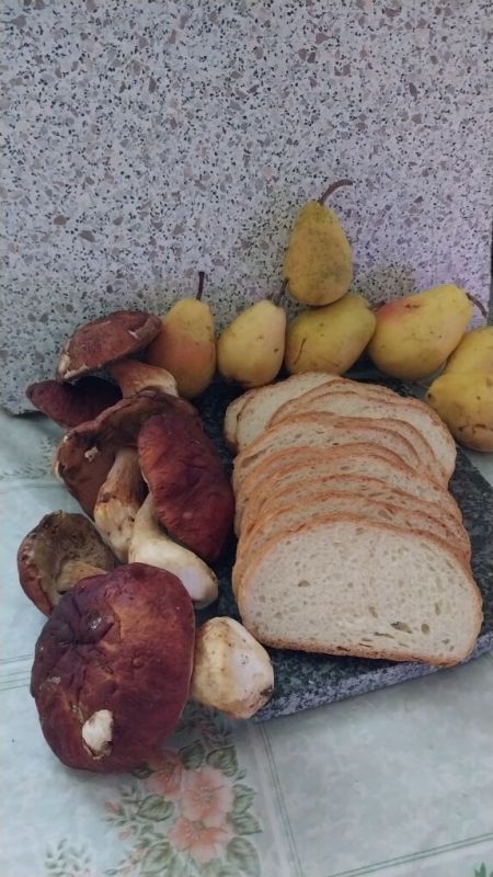 ���������� �� �����: ��� ������� ������� ������ � ������