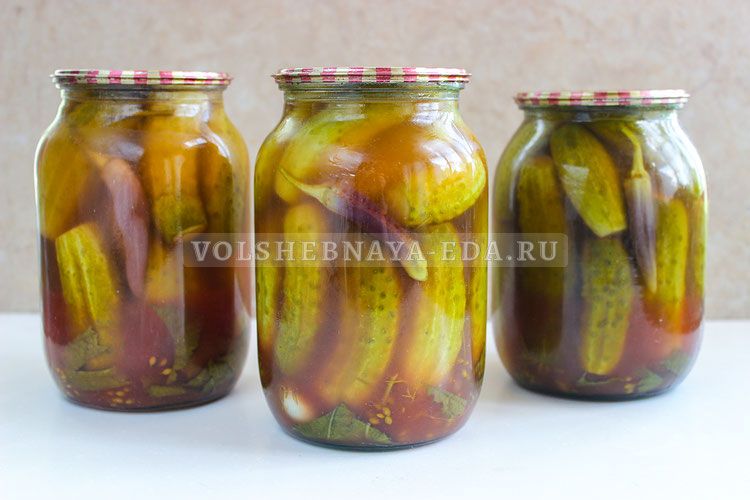 ������ � �������� ������ � ��������: ��������� ��������� �� ����