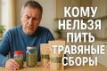 Кому противопоказаны травяные сборы: важные советы