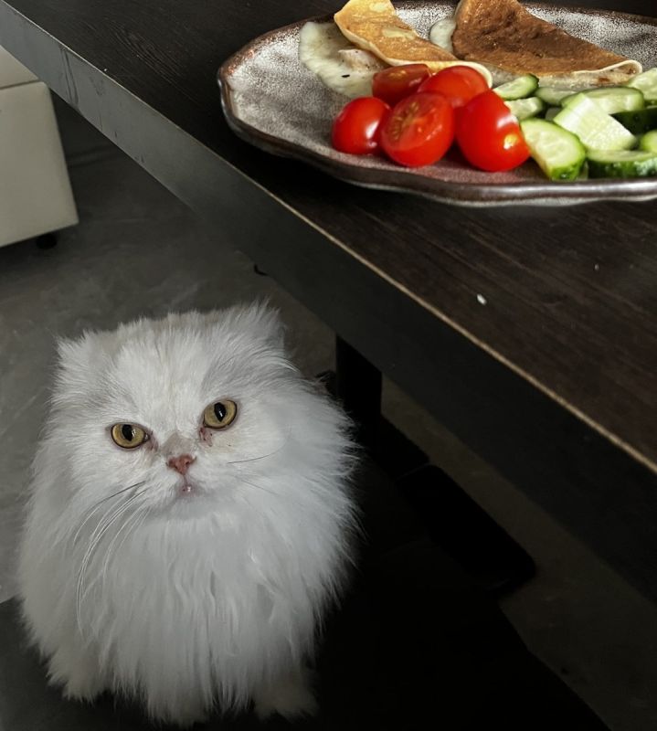 ���������� ��������: ����� ������� ������� ��� ������� �����