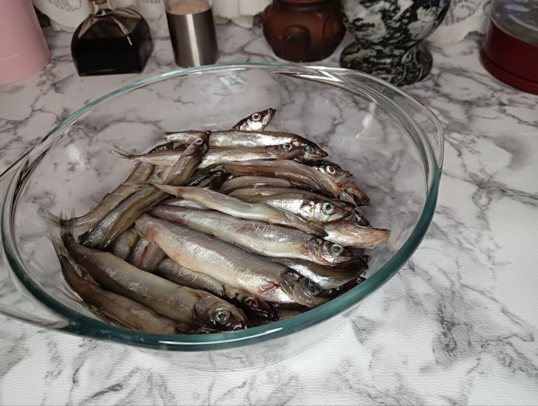 ������ ��� � ��������: ������ ������ ��� ��������� �������������