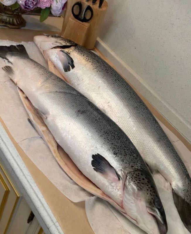 ��������� �������� �����: ��������� ����������� � ������������