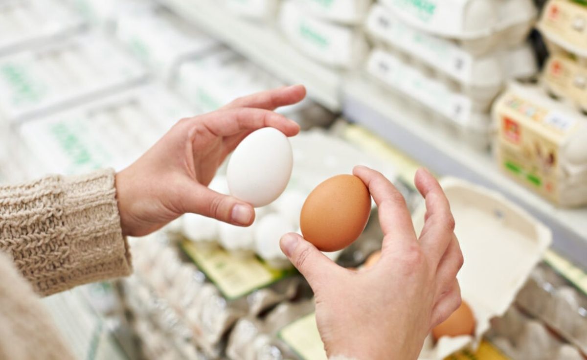 ��� ������� ������������ ����: ������ �� �������� �� ���������