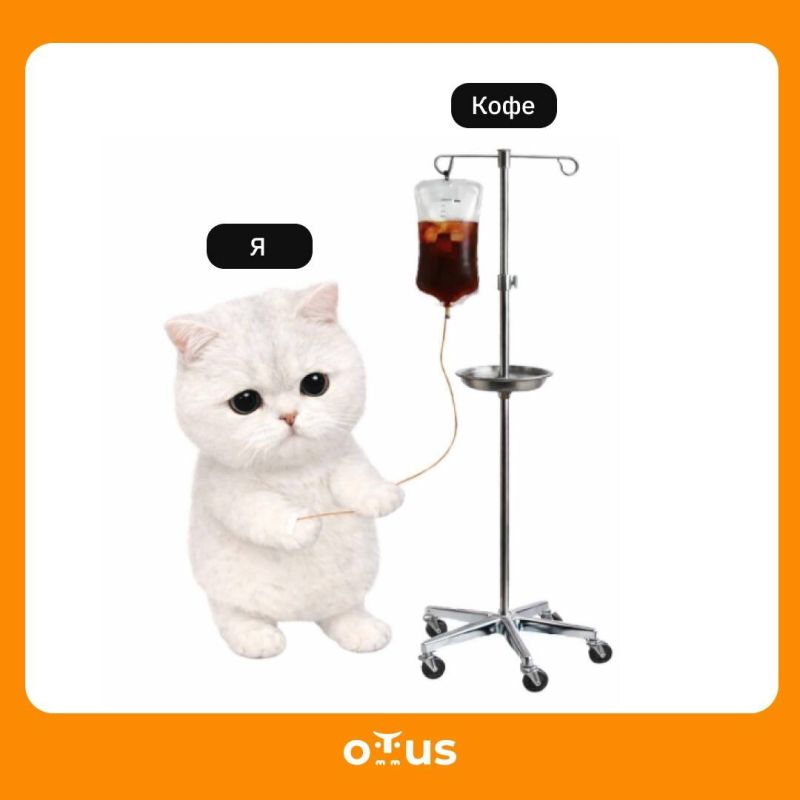 ����� ������ ���� ������������: ��� ���� ���������� ���������� �������������