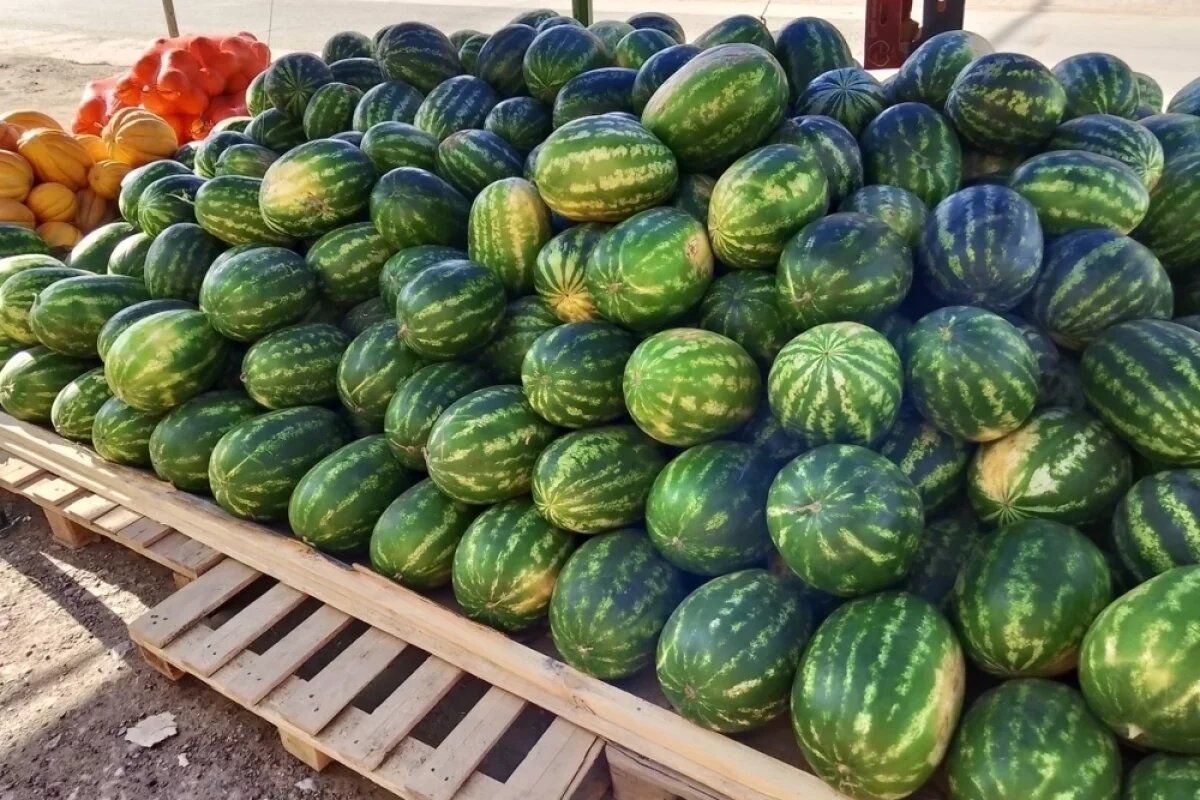 ������� ��������: ������ � ���� � �������