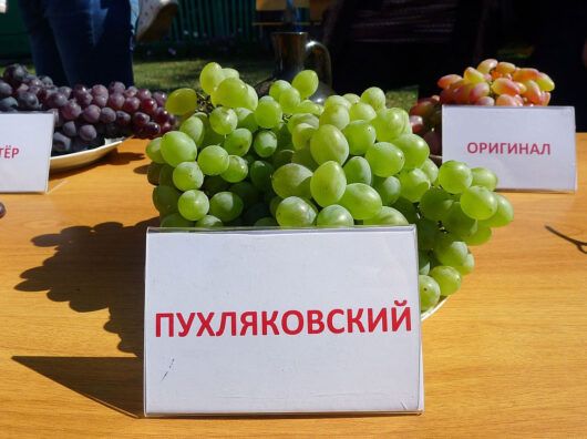 ���� ��������� ������� ����� ��� ��������� � ������� �������� �����������