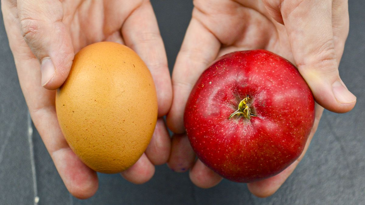 ������ ������� ��� ���������: ��������� ������ ��� �����