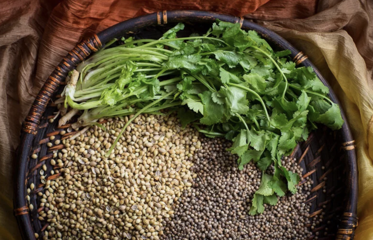 Кинза или кориандр: где они находят своё истинное применение?