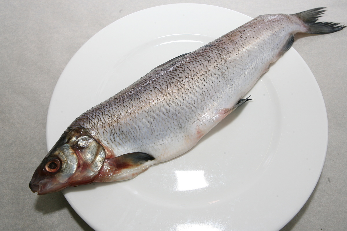 Как выбрать безопасную рыбу: советы эксперта по nutrition
