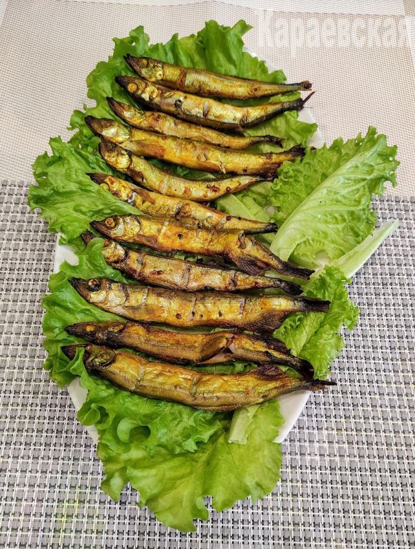 ����� ������ �� �����: ���������� ������������ �������