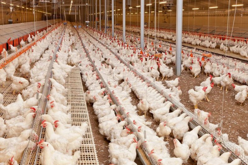 ������ ���������� ������ ����� ��������� ������ �������