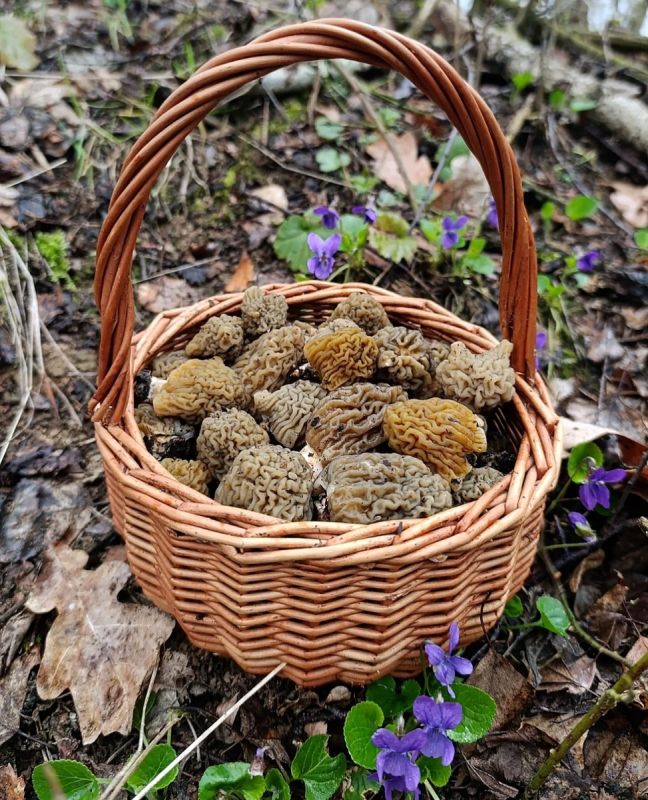 ����� � �����: �����, ����� � ������� � �������� �����