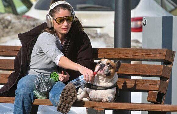 ���������� ��������� ��������� ����� ��� ������������ ������