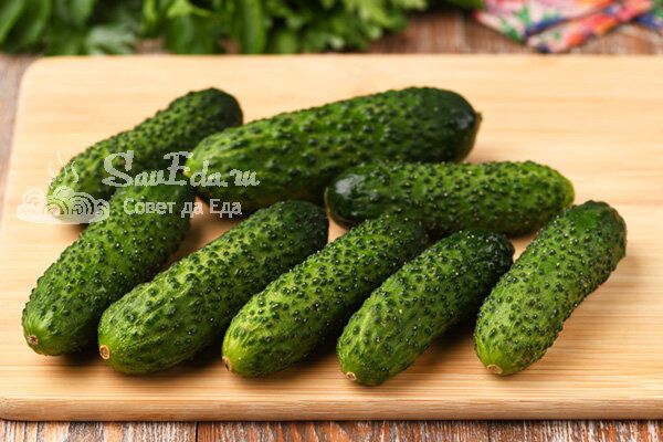 ������ �� �������: 5 ������� � ������� ��������