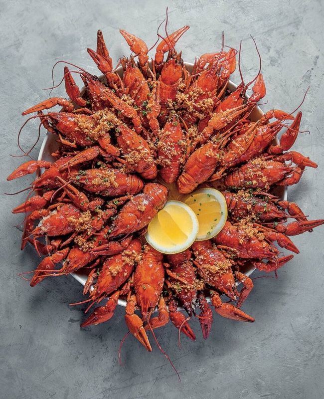 ����: ����������� ������� ������� �������� �� ����� �����