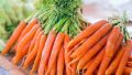 Морковь как защитник: новое исследование подчеркивает ее важность для здоровья