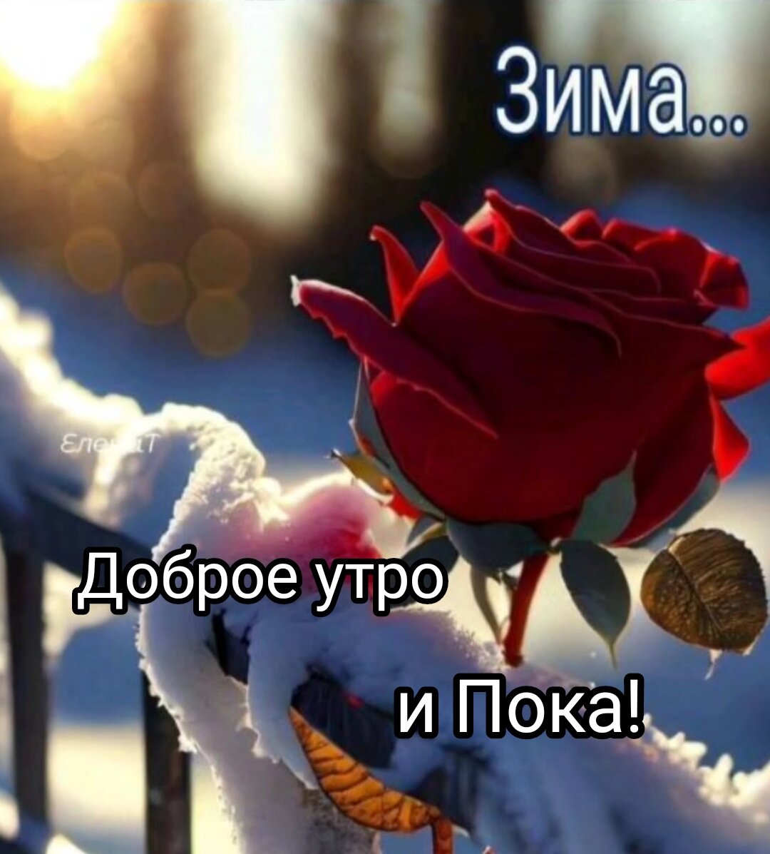 Прощай, зима: как холодное время года покидает нас вновь