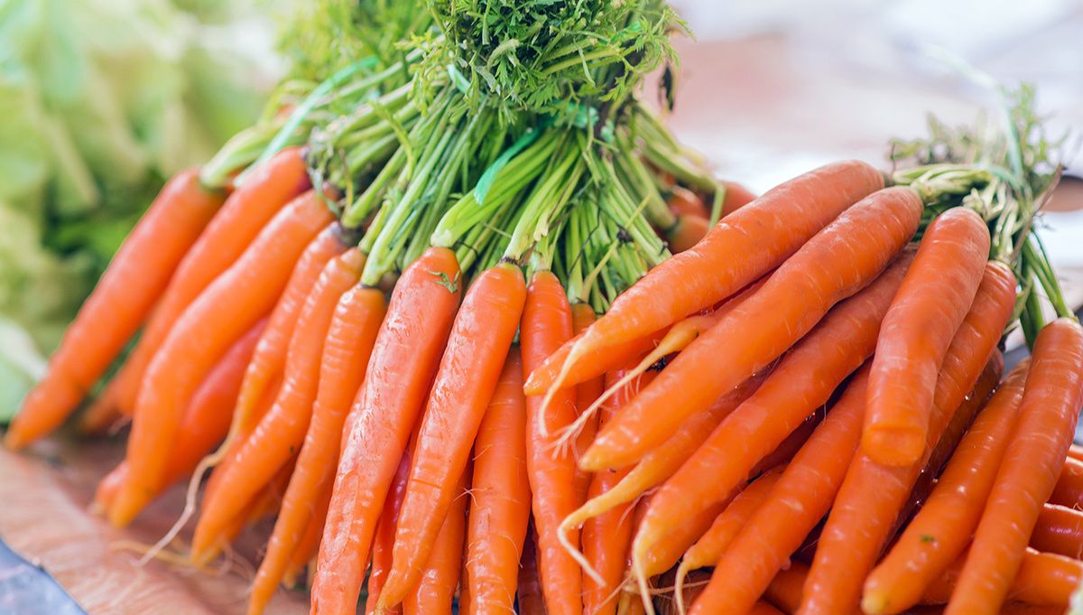 ������� ��� ��������: ����� ������������ ������������ �� �������� ��� ��������