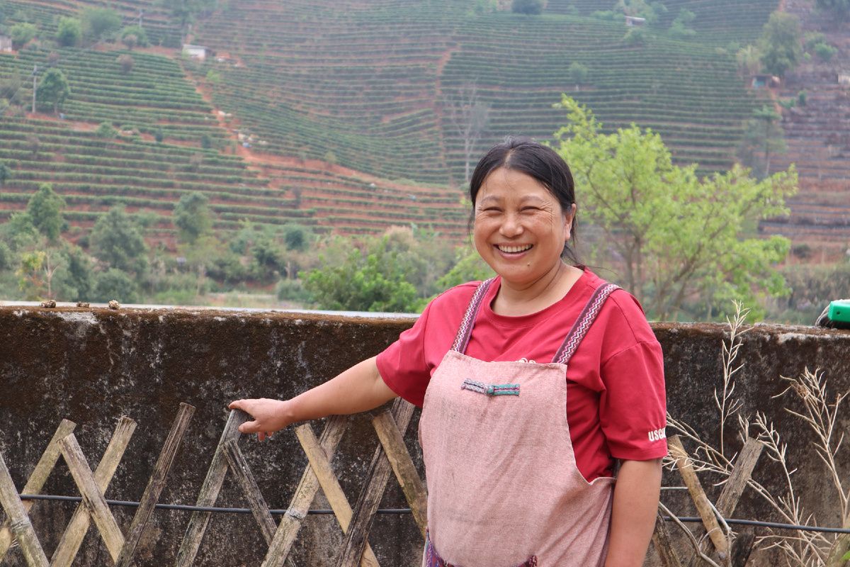 ������������ �� �����: ���, ���� � ������� �������������