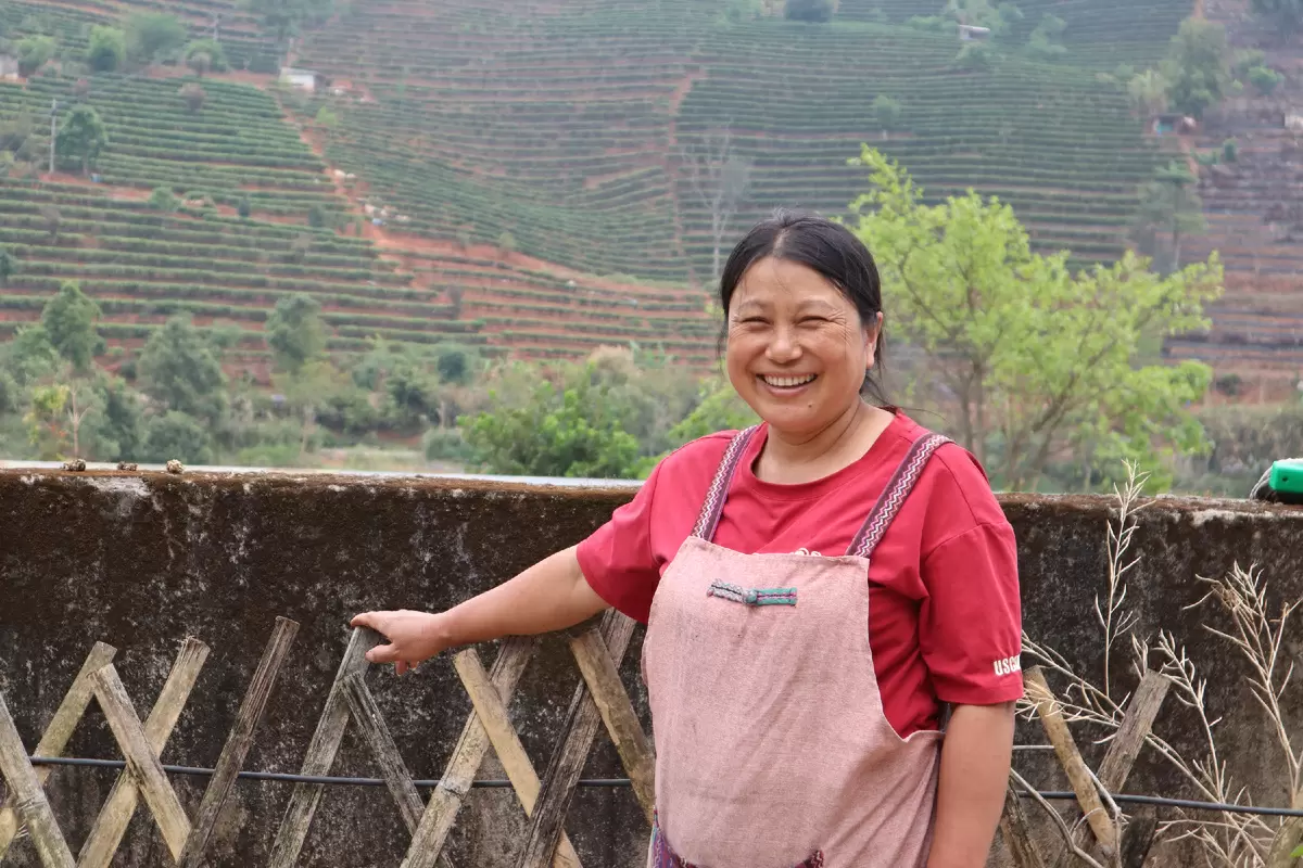 Путеводитель по Пуэру: чай, кофе и местные привязанности