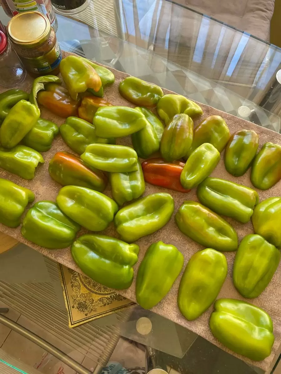 Соленья на зиму: секреты и новые идеи для домашних заготовок