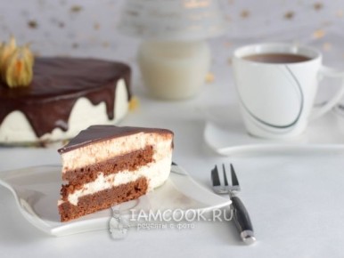 ���� "��������": ������������ ���������, ��������� �� ����