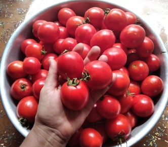 Как заготовить помидоры в собственном соку: секреты и простые шаги