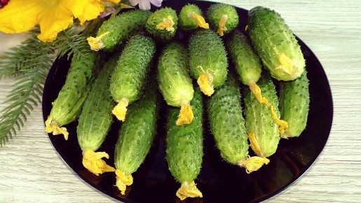 ��������� ������ �� ������ ����: ������� ������� �� ������ ����