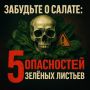 Не все зеленое — полезно: пять сюрпризов от листовой зелени