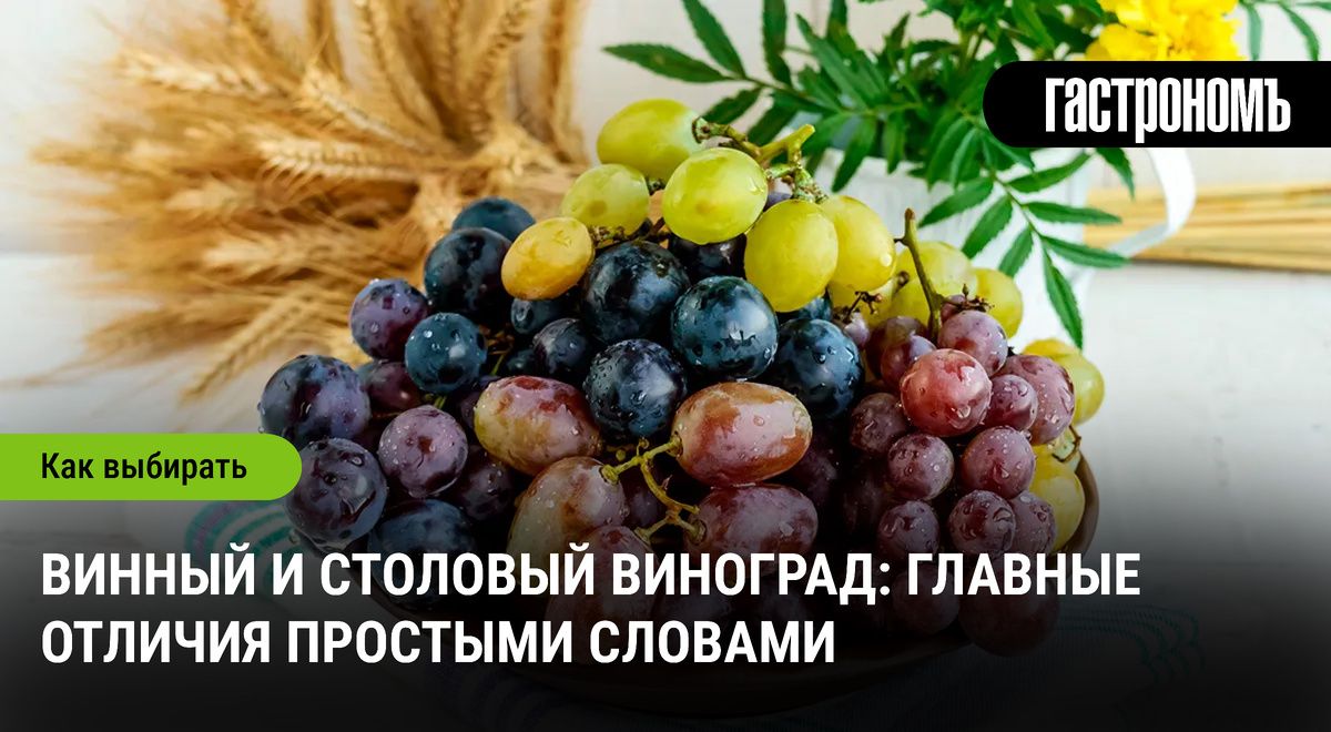 Как выбрать идеальный виноград для вина и стола